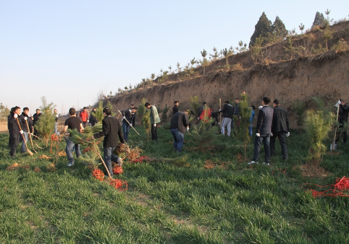 2017-3-8集團(tuán)義務(wù)植樹(shù) 022.jpg